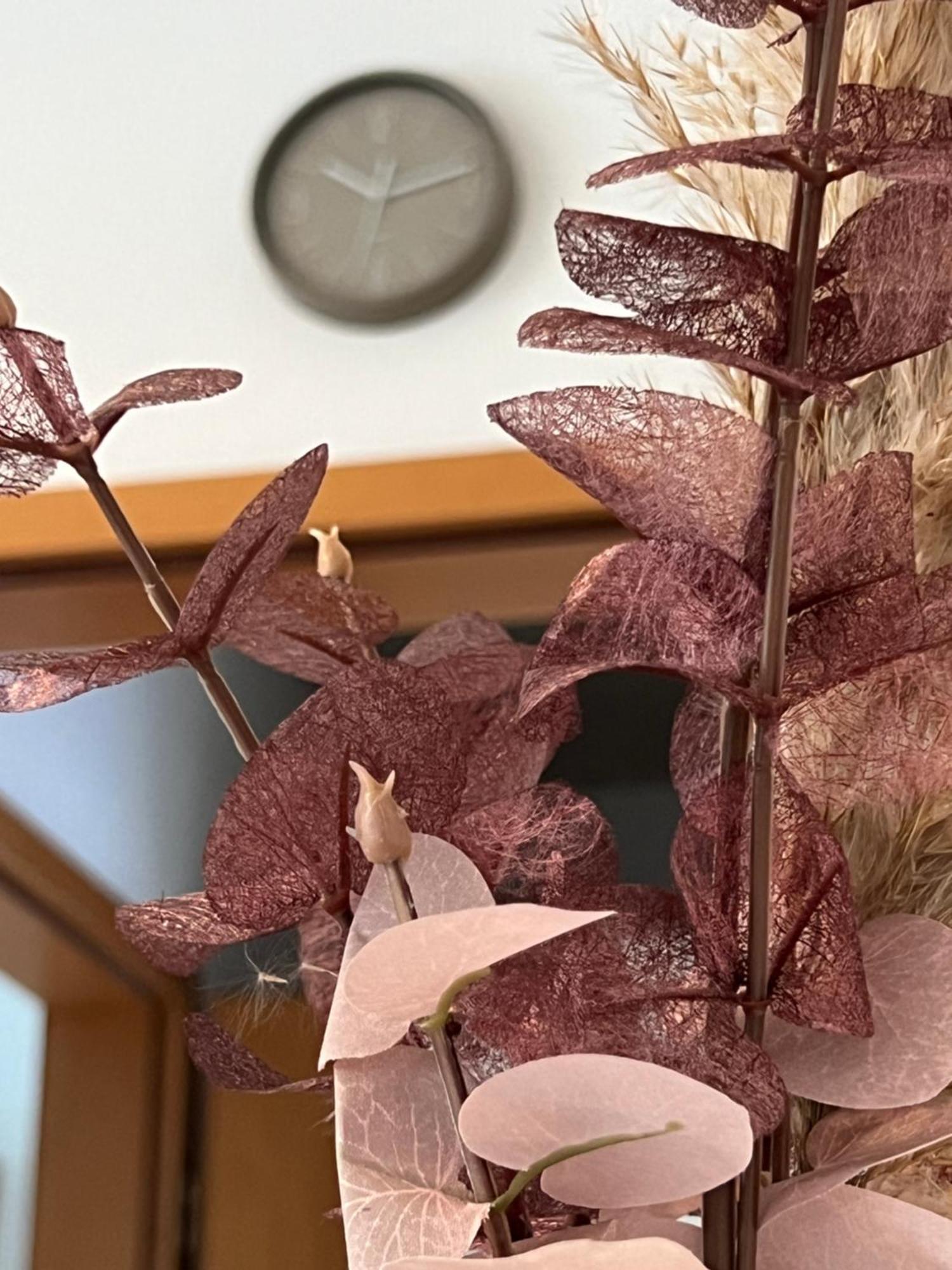 Auszeit Im Pott - Ferienwohnung Lavendel Herten  Eksteriør billede