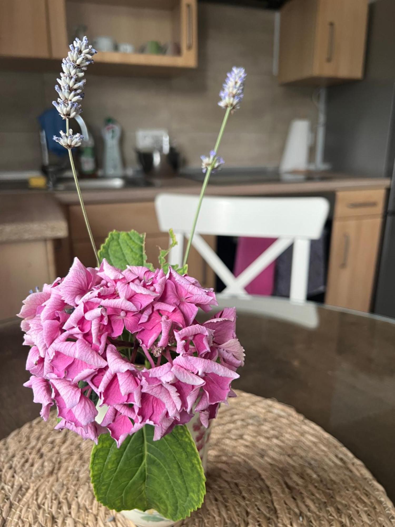Auszeit Im Pott - Ferienwohnung Lavendel Herten  Eksteriør billede